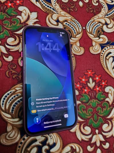 iphone 12 pro max 256