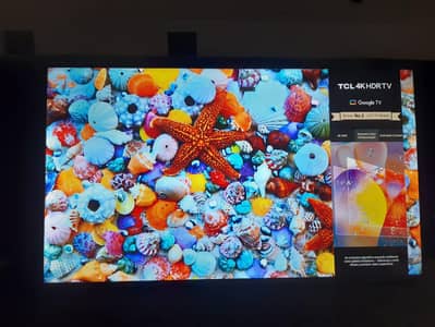 TCL GOOGLE LED  55 P635
