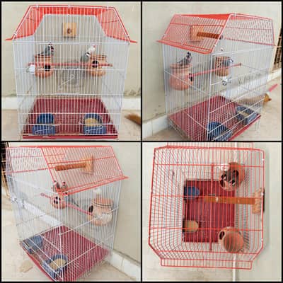 Cage for Sale with Java 4pcs