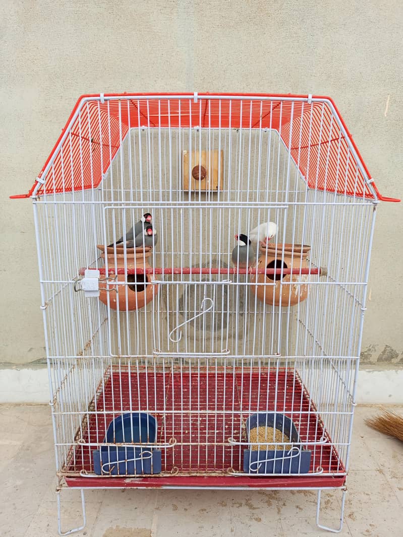 Java for Sale 4pcs 4