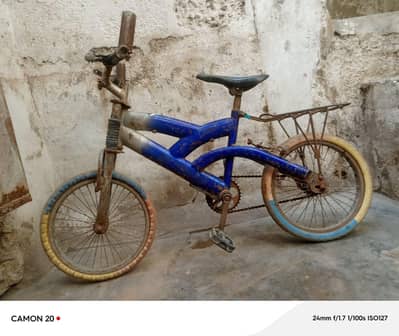 Morgan cycle for kids