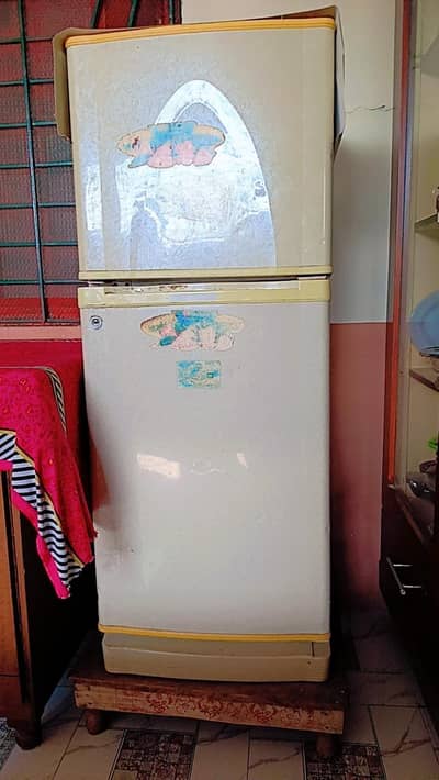Refrigerator & freezer