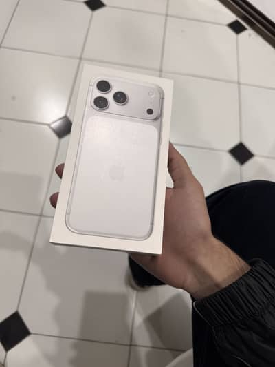 17 pro max 256gb silver