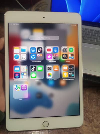 Apple iPad mini 4 – 128GB – Neat & Smooth – Best for Daily Use