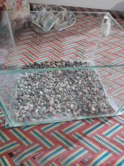 Aquarium for 4 to 6 fishes