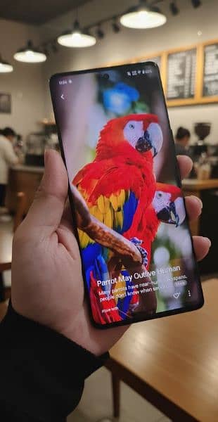 vivo v29e 5g edge heavy Device