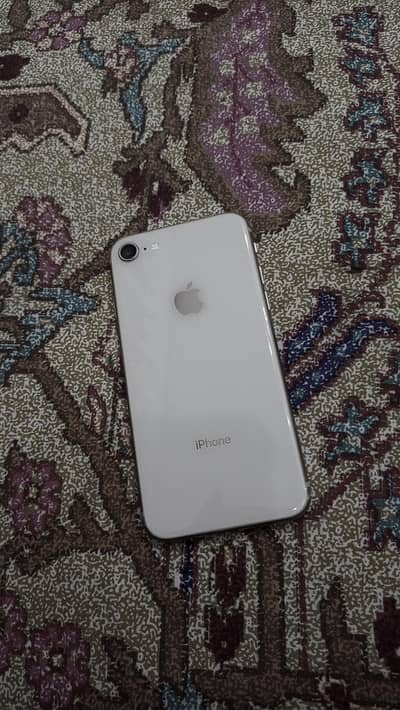 I phone 8 exchange only dogs