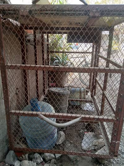 French fries Iron Stall with Steel top