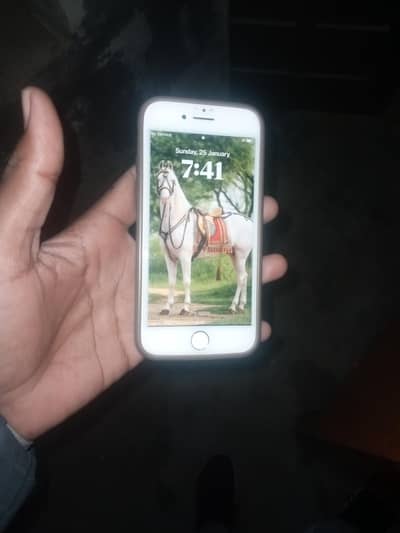 10by9 storage 6 4 GB mobile health75