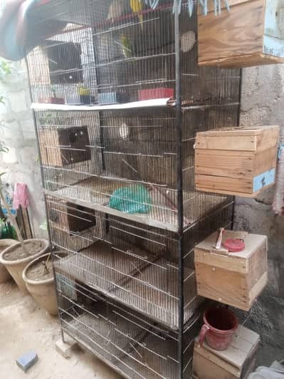 Bird cages