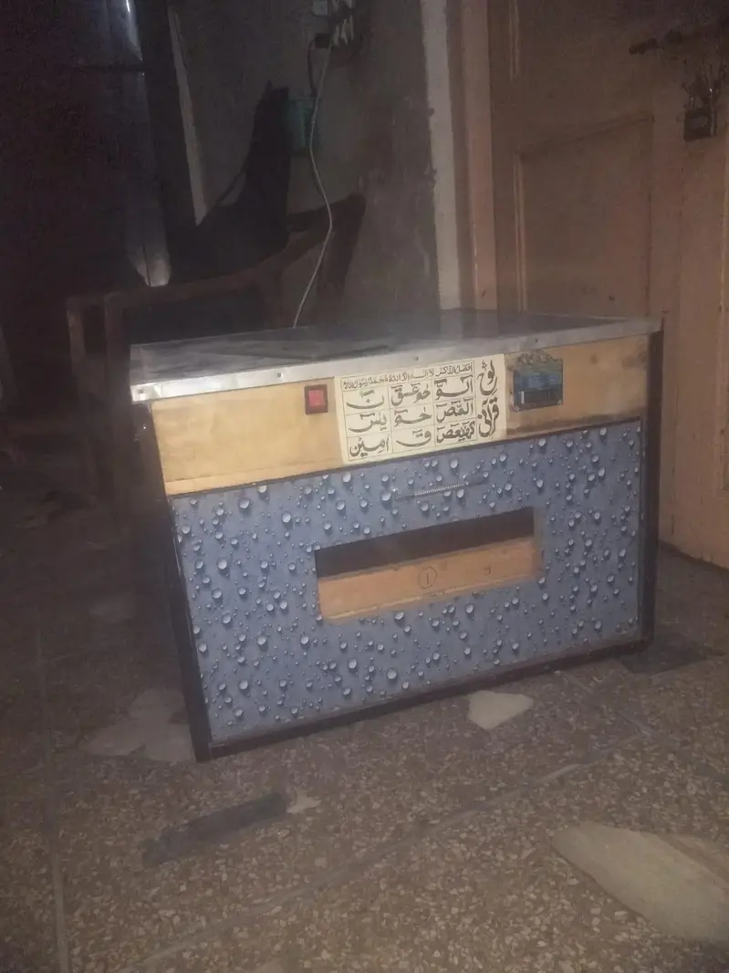 Automatic Egg Incubator / Hatchery Machine – Excellent Condition