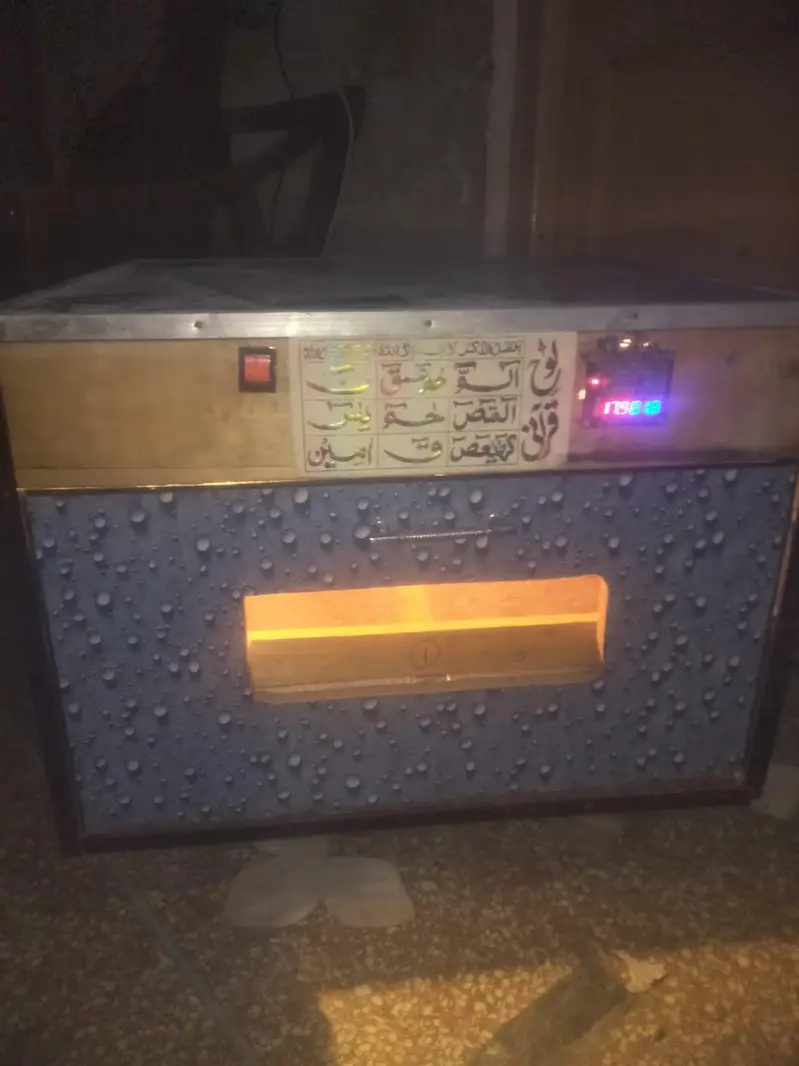 Automatic Egg Incubator / Hatchery Machine – Excellent Condition — photo 3