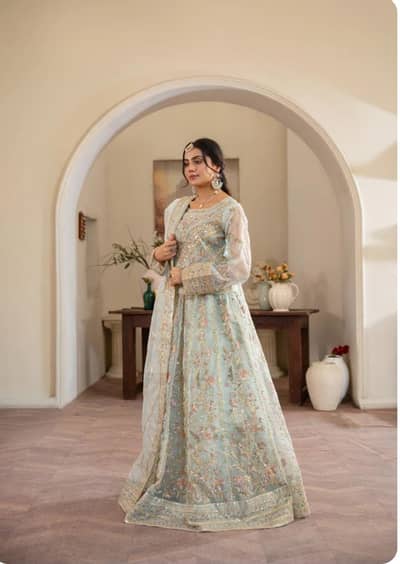 Beautiful Light Green Lehenga Choli – Wear Only Once | Like New