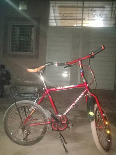 Phoenix double gear cycle original frame