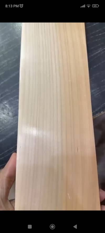 Good Quality Bat, English willow bats available