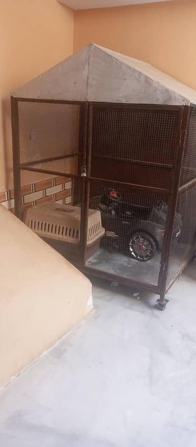 hen cage for sale Rawalpindi bakramandi 03315007670