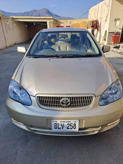 altus 2006 tree peace taching