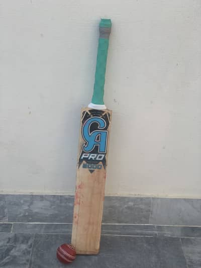 CA pro2000 English Willow bat