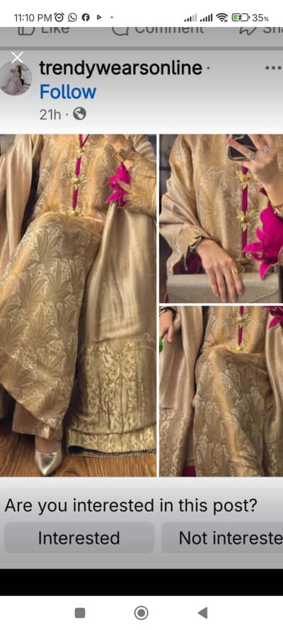 zainab shamsi most vieal dress