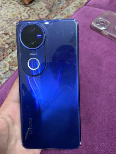 vivo v50 12/256