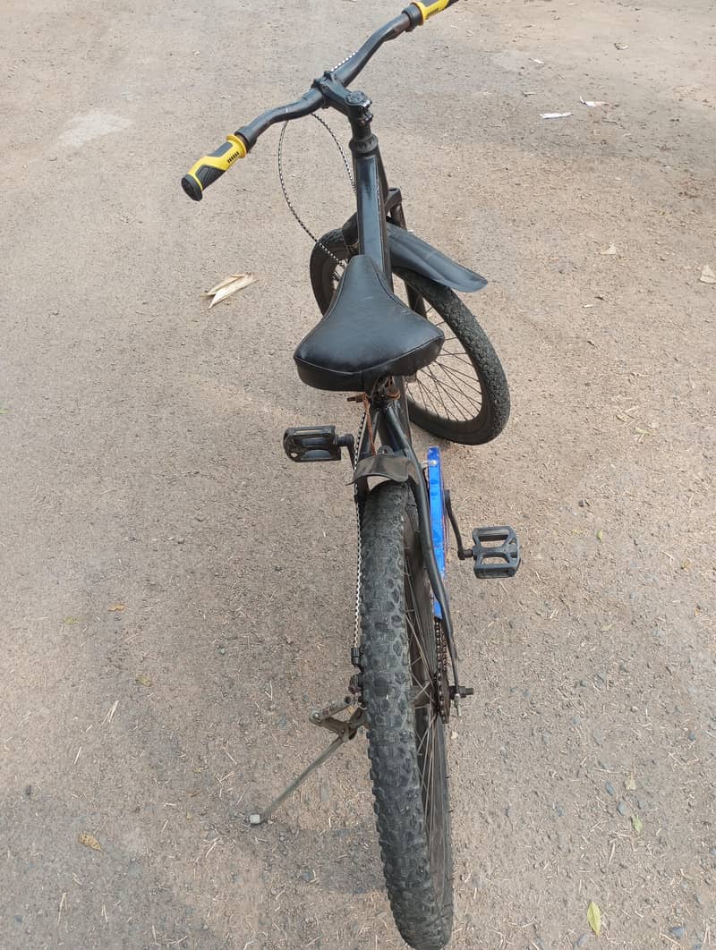 cycle 3