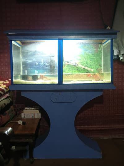Big Size fish Aquarium for sale