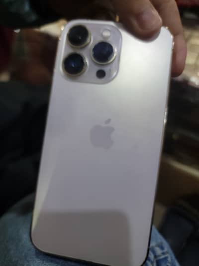 Iphone 13 pro Golden jv