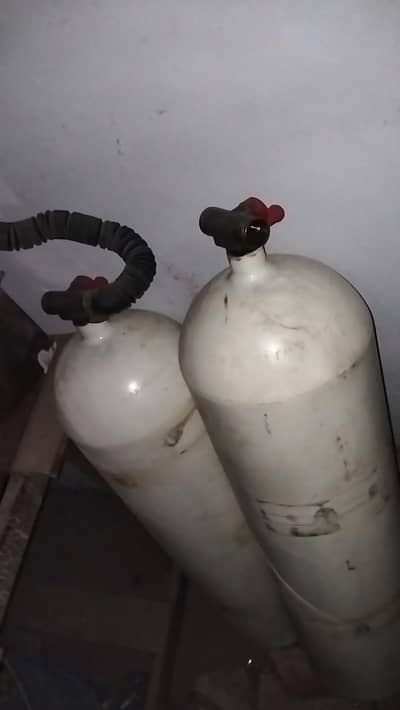 Geniune Cylinders of Suzuki Liana