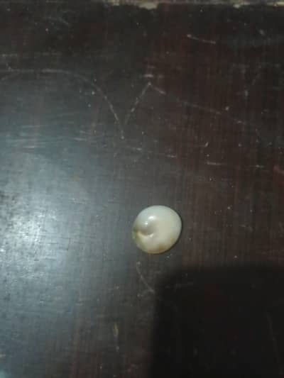 Tiger eye stone expensive