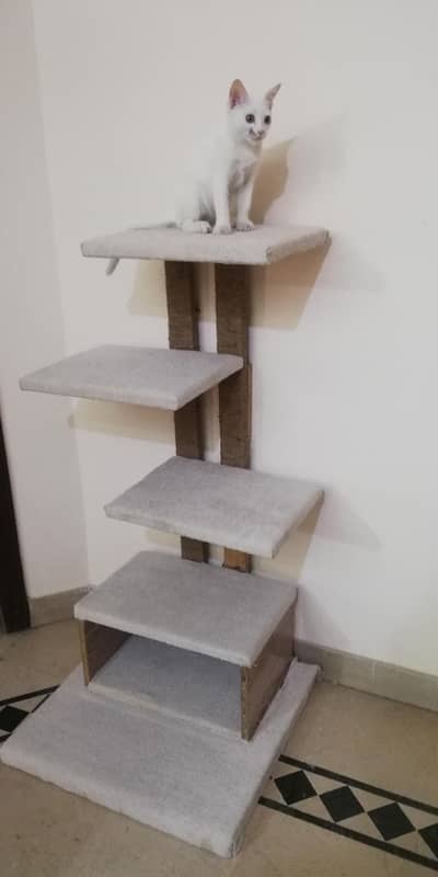multi level cat tree