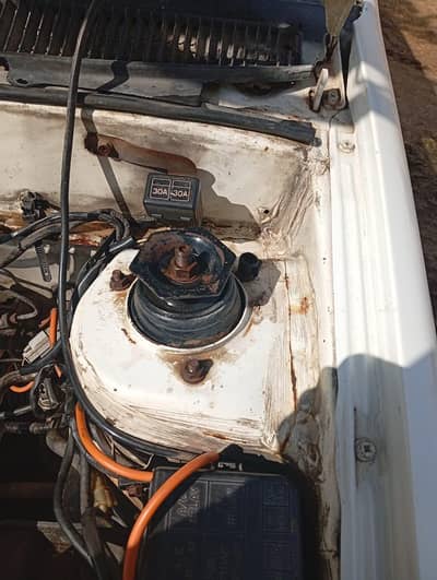 suzuki cultus 2005 modle sindh number white colour