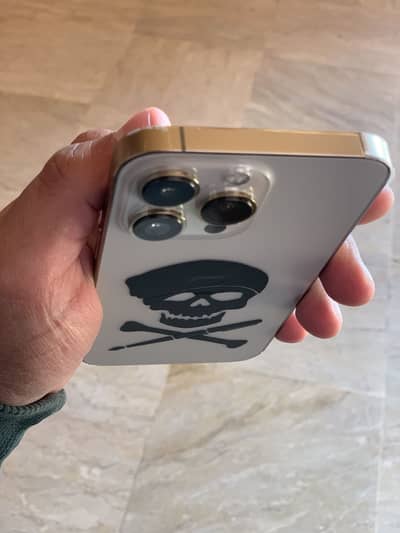 Apple i phone 13 pro