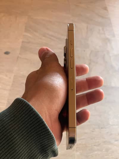 Apple i phone 13 pro