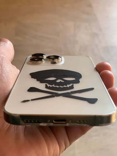 Apple i phone 13 pro