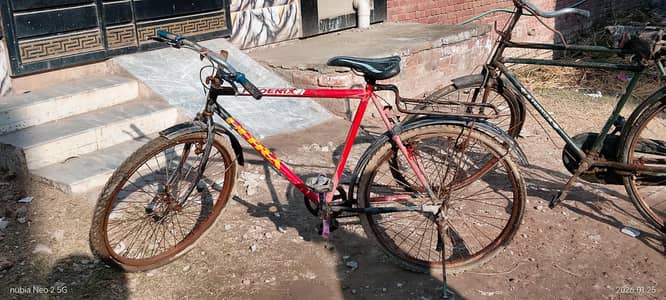 Bicycle for sale
