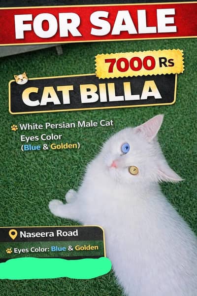 cat Billa