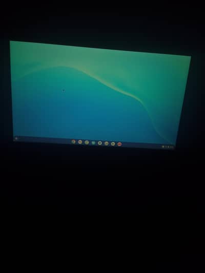 HP Chromebook (laptop)