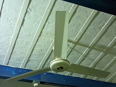 Super asia celling fan for sale