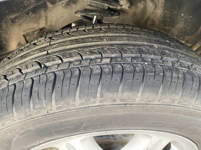 One of the best sunny