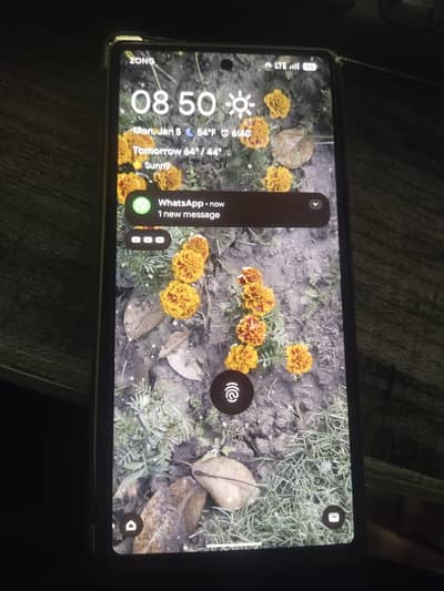 google pixel 7a offical pta approved