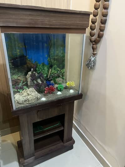 Fish Aquarium
