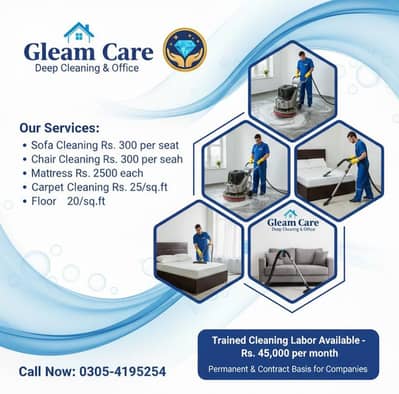 Sofa and carpet cleaner