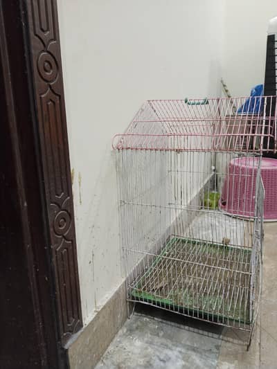 birds cage