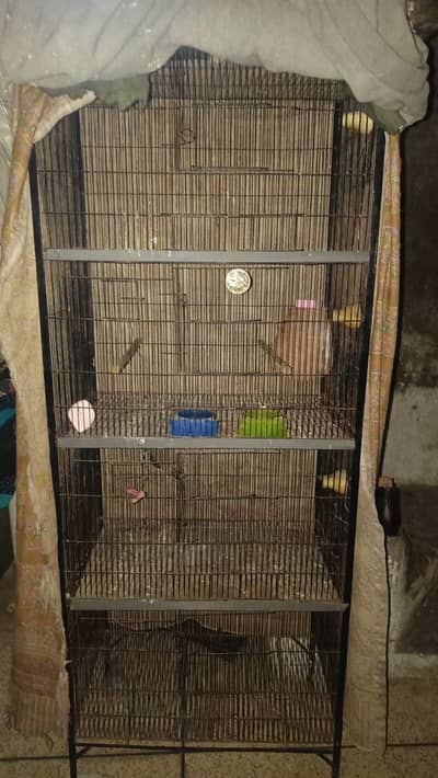 BIRD CAGE 4 Portion