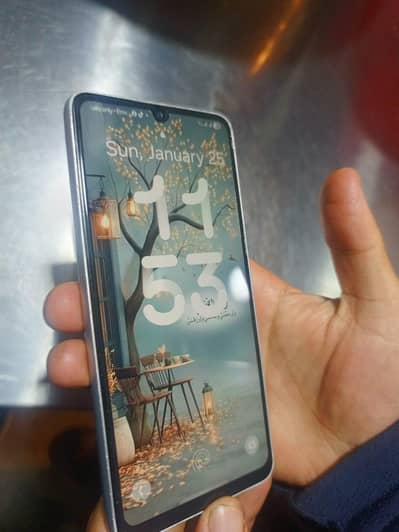 WhatsApp number 03069146033