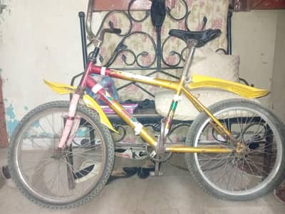 Shandaar Golden & Red Sports Cycle for Sale - Good Condition