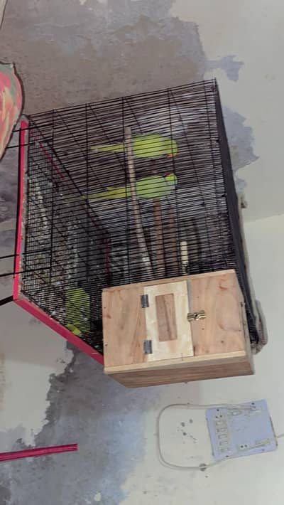 kaths pair with  pinjea bartan