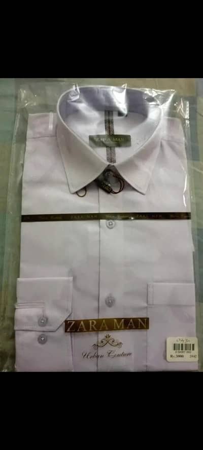 Light Pink Dress Shirt