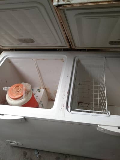 freezers for sel 03157941113