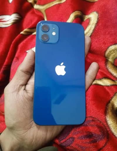 iPhone 12 10/9.5 256 Factory unlock